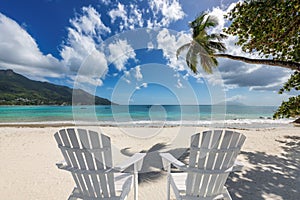 Beach chairs on sandy beach with coconut palm trees and turquoise sea.