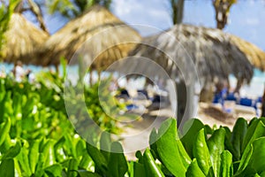 Beach chairs in swimming pool at tropical hotel resort. Relaxing time in the pool