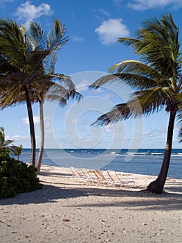 Beach Chairs On Tropical Beach