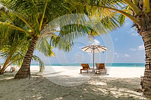 Beach chairs and umbrella with palm trees near the sea. Luxury summer vacation or holiday concept