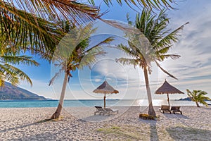 Beach chairs, umbrella and palms on the beautiful beach for holidays and relaxation at Koh Lipe island, Thailand