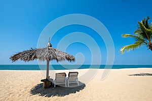 Beach chairs, umbrella and palms on sandy beach