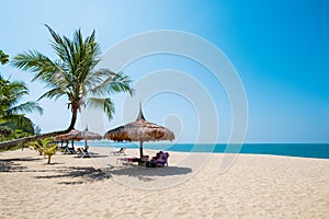 Beach chairs, umbrella and palms on sandy beach near sea.