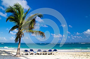 Beach chairs under palm