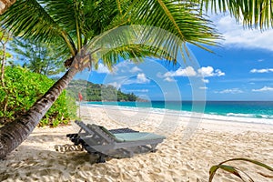 Beach chairs under a palm tree on tropical beach.