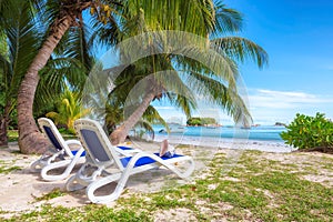 Beach chairs under a palm tree on tropical beach at Seychelles.