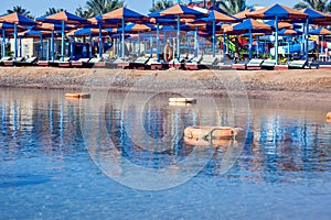 Beach with chaise lounges standing in line on beige sand. Holiday and travel concept