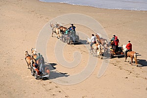 Beach Charioteers