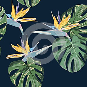 Beach cheerful seamless pattern wallpaper of tropical dark green leaves of palm trees and flowers bird of paradise strelitzia