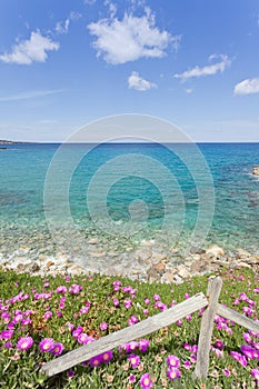 At the beach of Chersonissos