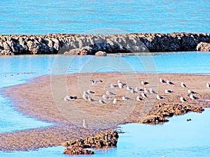 Beach of Chipiona in Cadiz photo