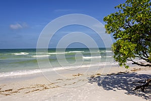 Beach in Clearwater, Florida