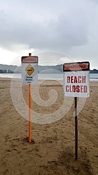 Beach Closed Due To Shark Sighting Signs photo