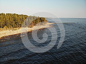 Beach coast Gulf of Finland or sea with small waves near pine forest