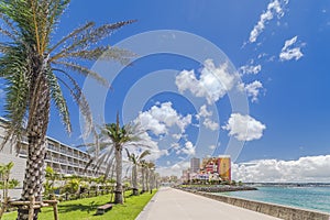 Beach coast lined with palm trees of Distortion Seaside, Oak fashion, Depot Island Seaside buildings and Vessel Hotel Campana in