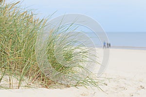 Beach on the coast of Swinoujscie on Baltic Sea coast