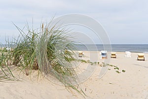 Beach on the coast of Swinoujscie on the Polish Baltic Sea with beach chairs