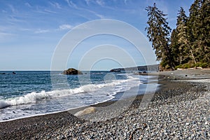 Beach on the coast of Vancouver Island