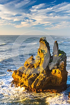 Beach and coastline near Kaikoura