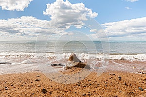 Beach and coastline of West Bay on the Jurassic coast in Dorset taken on sunny summer day.