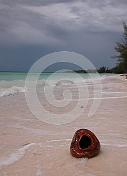 Beach with Coconut