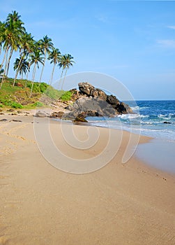 Beach with coconut palm trees