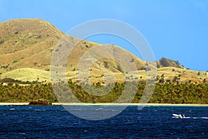 Beach and coconut palms, Yasawa islands, Fiji