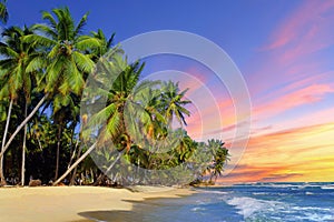 Beach with coconut tree at sunset