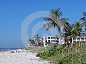 Beach condominiums photo