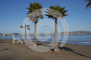 Beach at Coquimbo in northern Chile. photo