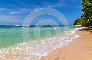 Beach in costa rica photo