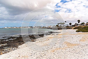 Beach covered with dried sea algae in Corralejo on Fuerteventura