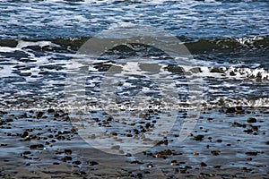 Beach covered in pebbles low tide in Southern California