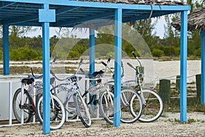 Beach Cruiser Bicycles