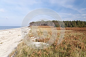 Beach of Darss - Weststrand