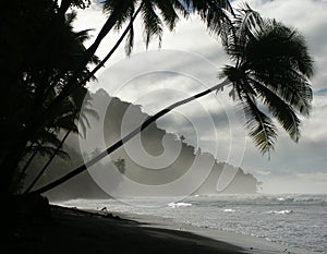 Spiaggia sul alba 