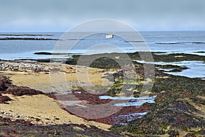 Beach de Le Vieil in island of Noirmoutier