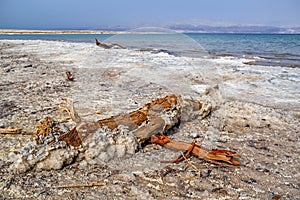 Beach of Dead Sea coastline. Israel