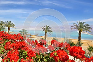 Beach at the Dead Sea, israeli shore