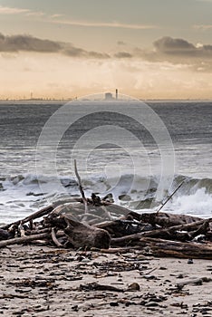 Beach debris piles up at shoreline