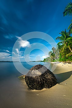 The beach is decorated with thousands of coconut trees