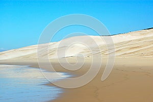 Beach desert