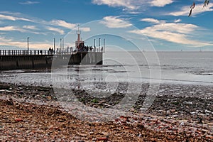 beach and dock in the rio de la plata san isidro