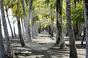 Beach Dominical Puntarenas Costa Rica