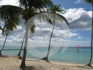 Beach in Dominicus, Dominican Republic