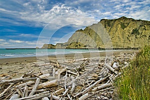 Beach and wharf of Tolaga Bay, New Zealand