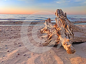 Beach Driftwood Sunset Michigan