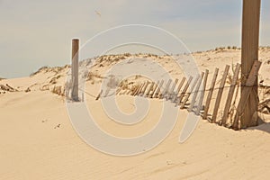 beach dune fence
