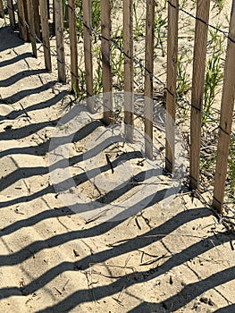 Beach dune fence with shadows