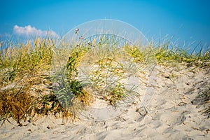 Beach dune with grass and sand on a hot sunny day in northern germany